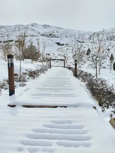 باغ بازی