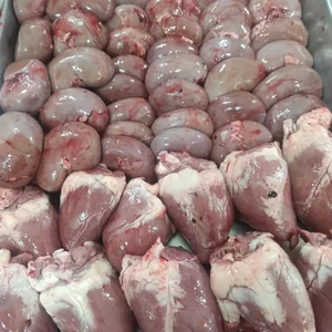 سوپر گوشت آریا 4