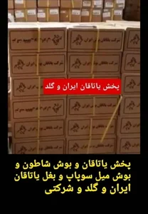 لوازم یدکی مهدی سلمانی 4