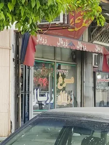 مرغ زربال