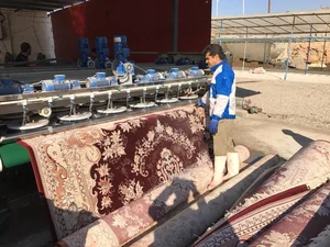 قالی شویی آبنوس 2