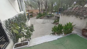 کافه پالما 2