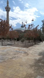 قبرستان عمومی مصلی (تکیه مصلی)