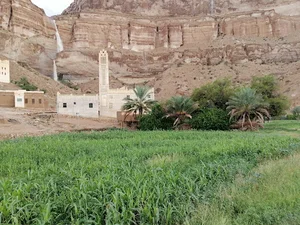 جامع النور بالجديدة