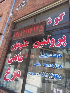 پروتیین علویان نوروزی 4