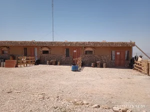 موتور سازی ‌سعید صابری