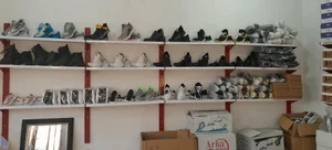 کفش رضا 2