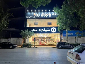نمایندگی انحصاری نیلپر خانگی مشهد