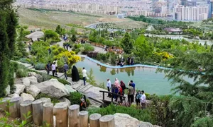 منطقه مجاور پارک