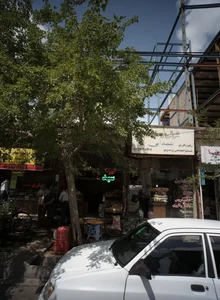 میوه سید 2
