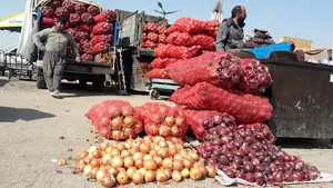 بارفروشی پیمانکار- برادران بری