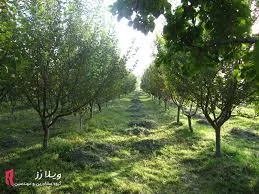 پارک بچه های بهشت مسجد