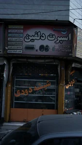 اسپرت دلفین 2