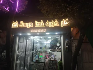پلانکتون فود 5
