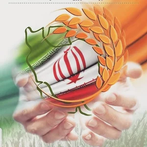 علافی گشنیز سوری