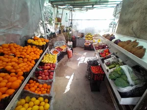 میوه فروشی باغ بهشت