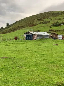 سوته 2