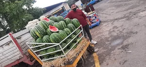 بارفروشی نیار عیسی تورک