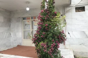 بینایی سنجی و عینک چاویکا