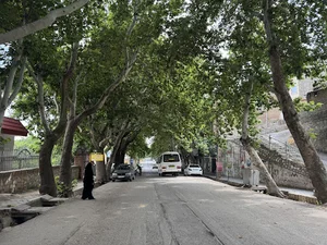 ساندویچی ناب برگر