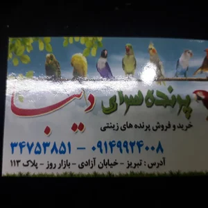 پرنده فروشی محمد دیبا