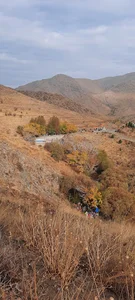 دره گردشگری گردو