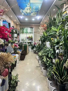 گل فروشی ژیوار
