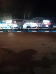 اتو رایکا