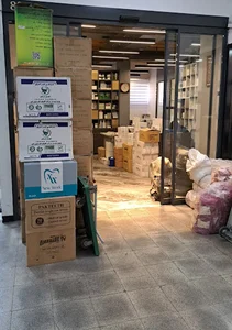 اوپال دنت