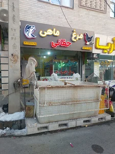 ماهی زنده