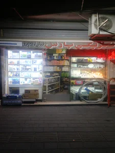 الکتریکی پارس