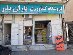 باران بذر هاشمی