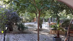 باغ شاتوت