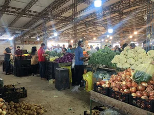 جمعه بازار تره بار