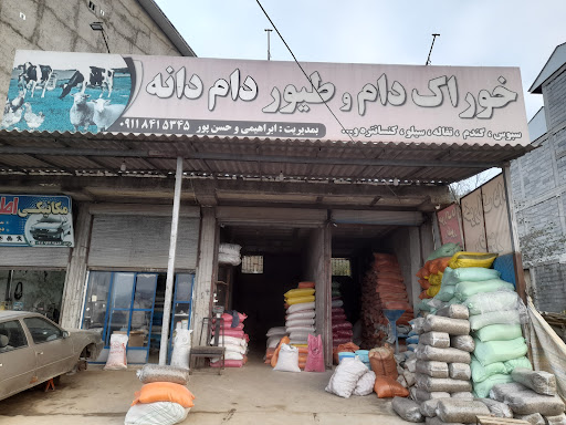خوراک دام وطیور ابراهیمی