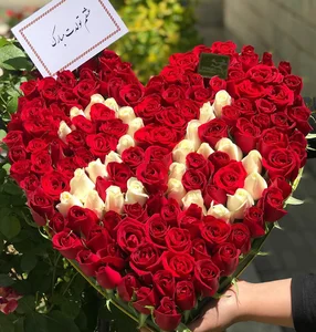 گلبازارسورپرایز