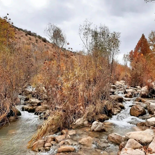 روستای بردترک
