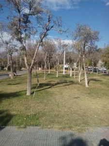 بوستان دستواره 3