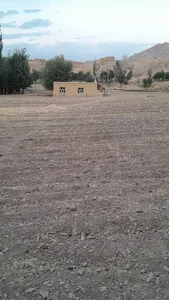 مزرعه شترمرغ