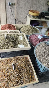 آجیلی گونه باخان