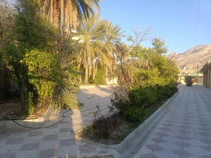 مسجد امام زین العابدین 5