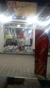 تهیه غذای آیلین همدان