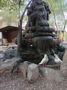 رستوران آبشار