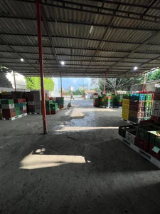 سردخانه عابدی 3