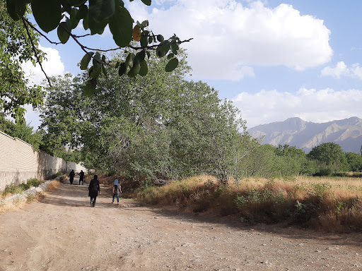 باغ میوه حاج حیدر مقیمی