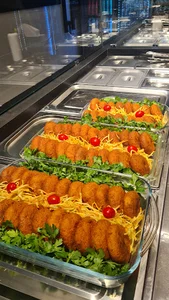 غذا خانگی‌ پانا