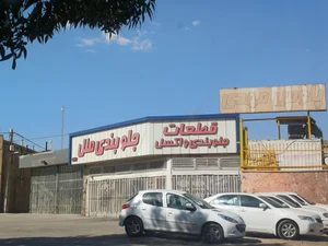 تنظیم فرمان آرا 3