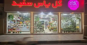 گل فروشی یاس سفید 5