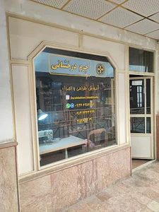 چرم درخشانی