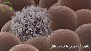 مطب دکتر میرزانیا